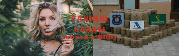 крисы Новодвинск