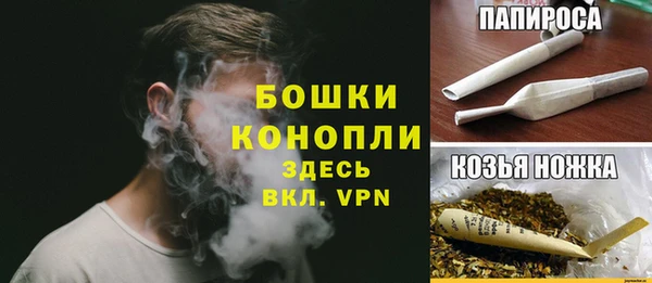 крисы Новодвинск
