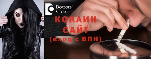 крисы Новодвинск