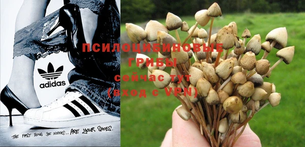 альфа пвп Няндома