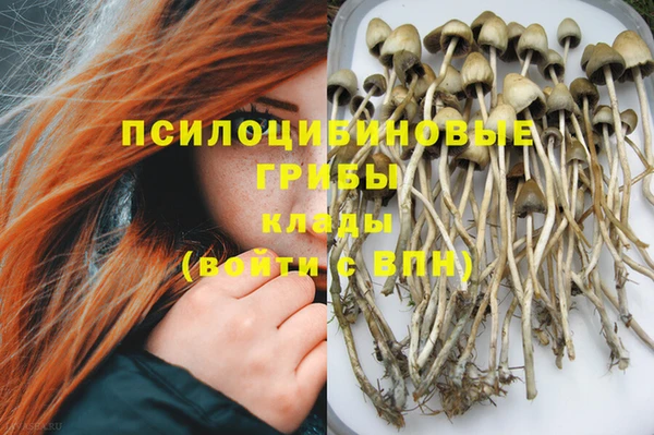соль курить ск Абаза