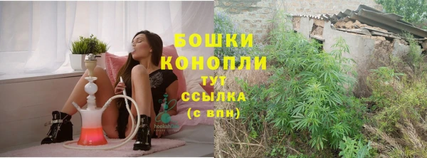 крисы Новодвинск