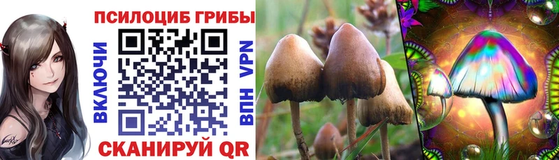 Псилоцибиновые грибы ЛСД  хочу наркоту  Спас-Клепики 